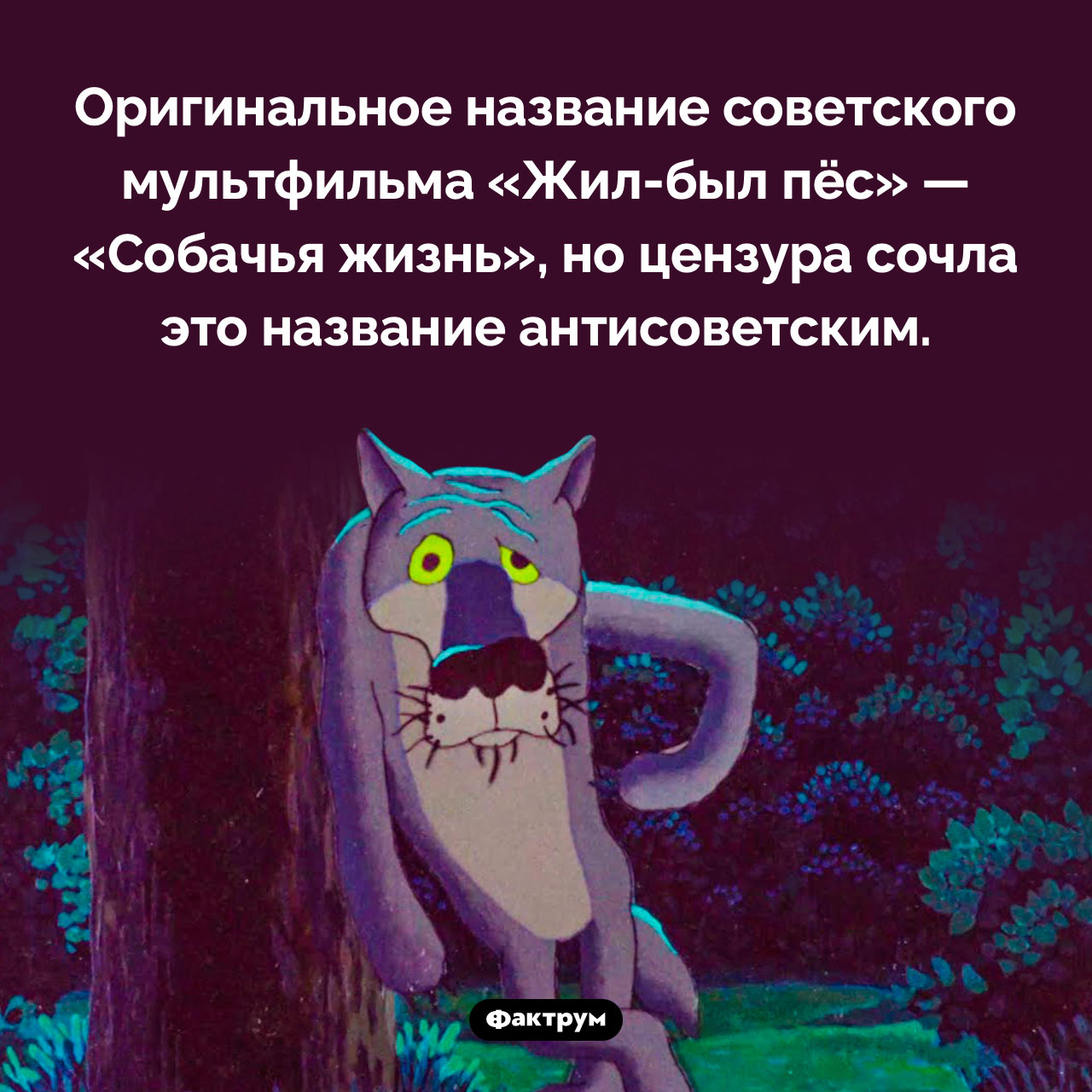 Собачья жизнь