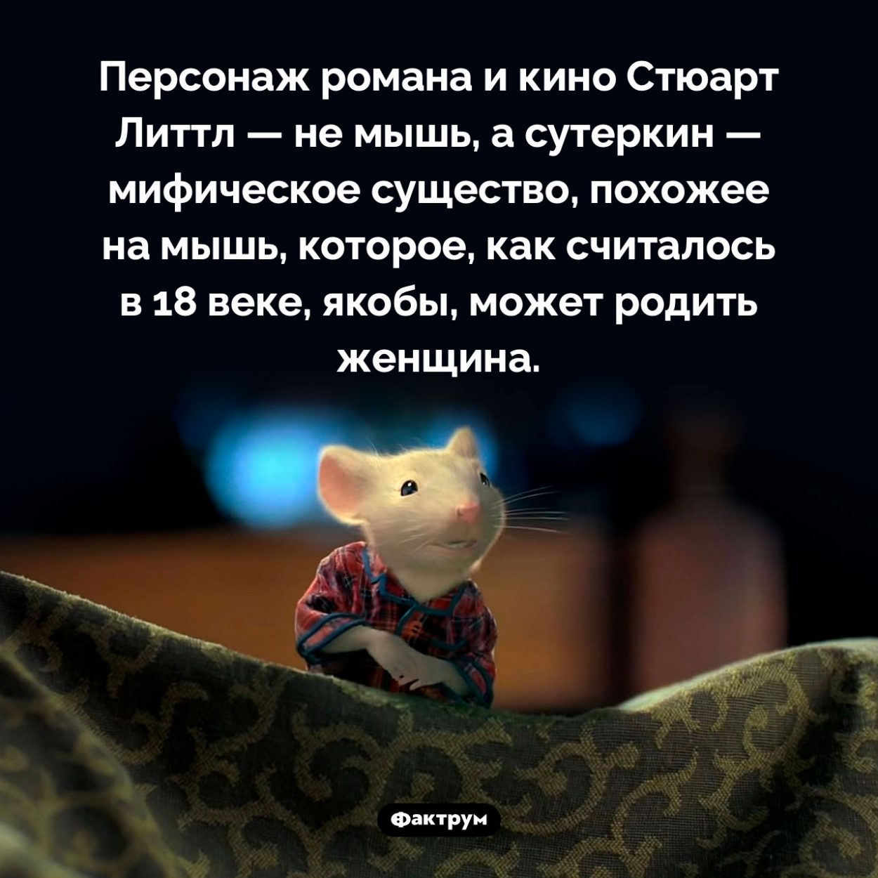 Стюарт Литтл — не мышь. Персонаж романа и кино Стюарт Литтл — не мышь, а сутеркин — мифическое существо, похожее на мышь, которое, как считалось в 18 веке, якобы, может родить женщина.