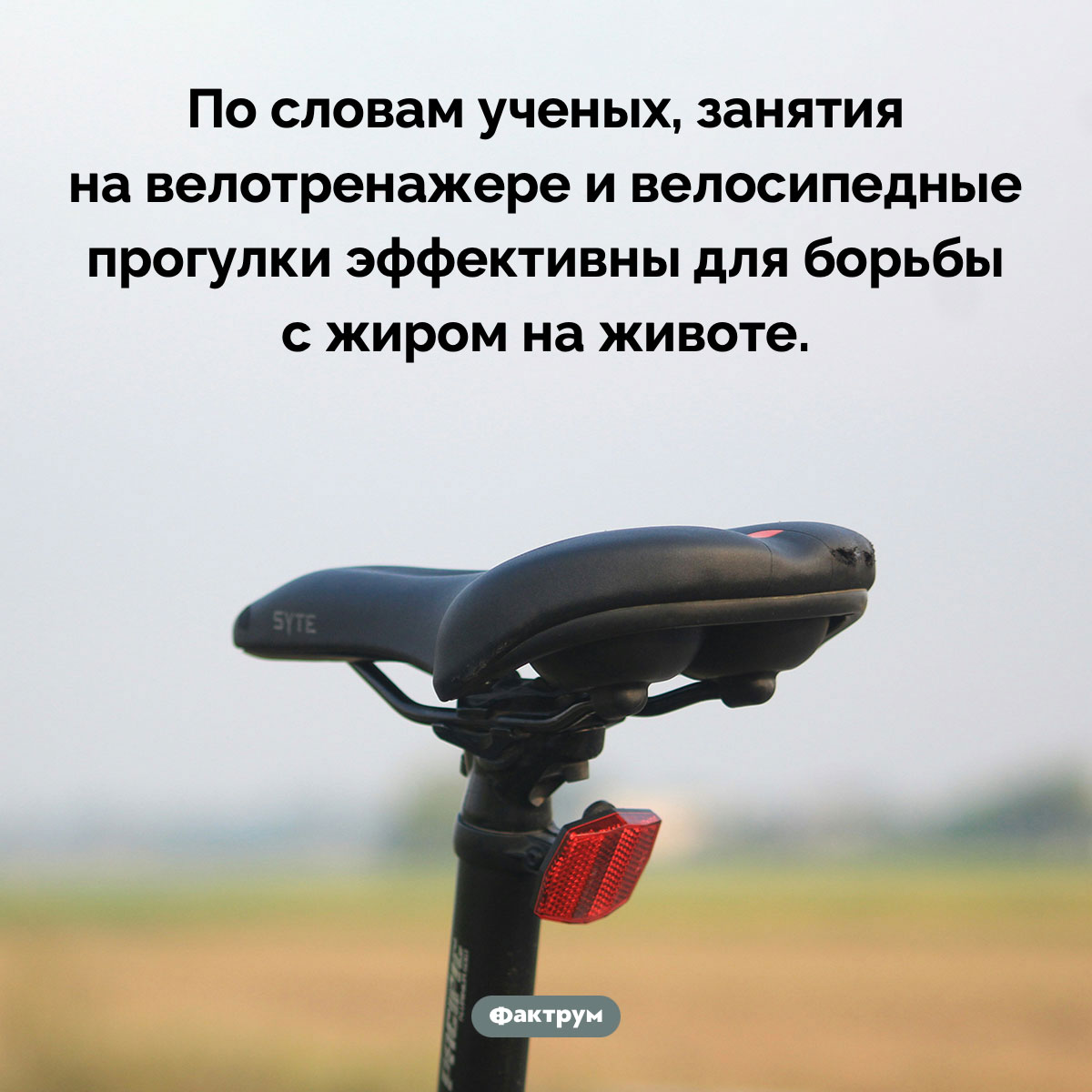 Велосипед и жир на животе. По словам ученых, занятия на велотренажере и велосипедные прогулки эффективны для борьбы с жиром на животе.