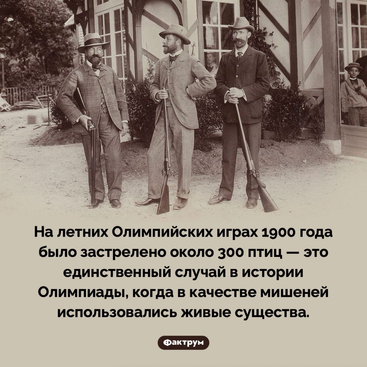 Жестокая Олимпиада. На летних Олимпийских играх 1900 года было застрелено около 300 птиц — это единственный случай в истории Олимпиады, когда в качестве мишеней использовались живые существа.