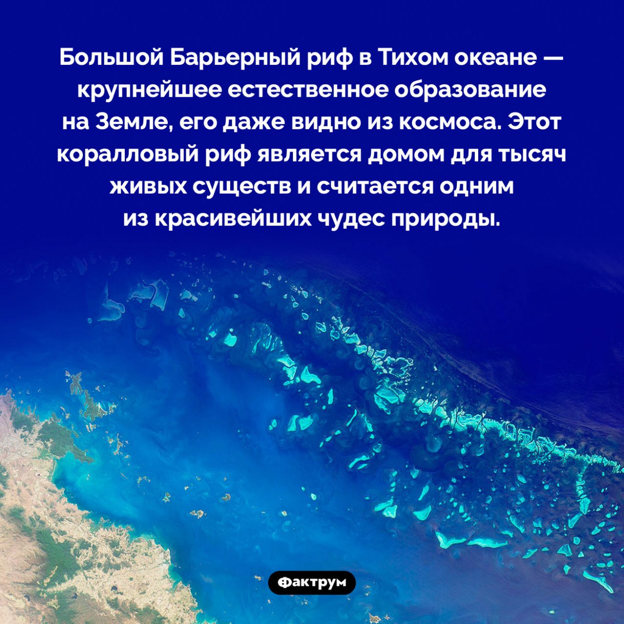 Большой Барьерный риф видно из космоса. Большой Барьерный риф в Тихом океане — крупнейшее естественное образование на Земле, его даже видно из космоса. Этот коралловый риф является домом для тысяч живых существ и считается одним из красивейших чудес природы.