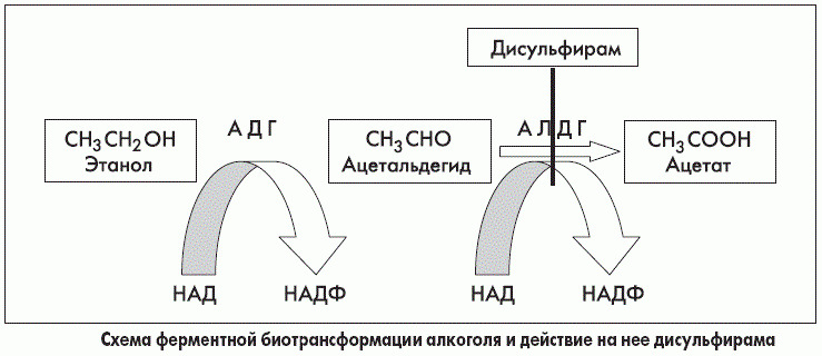 как дисульфирам замещает алкоголь