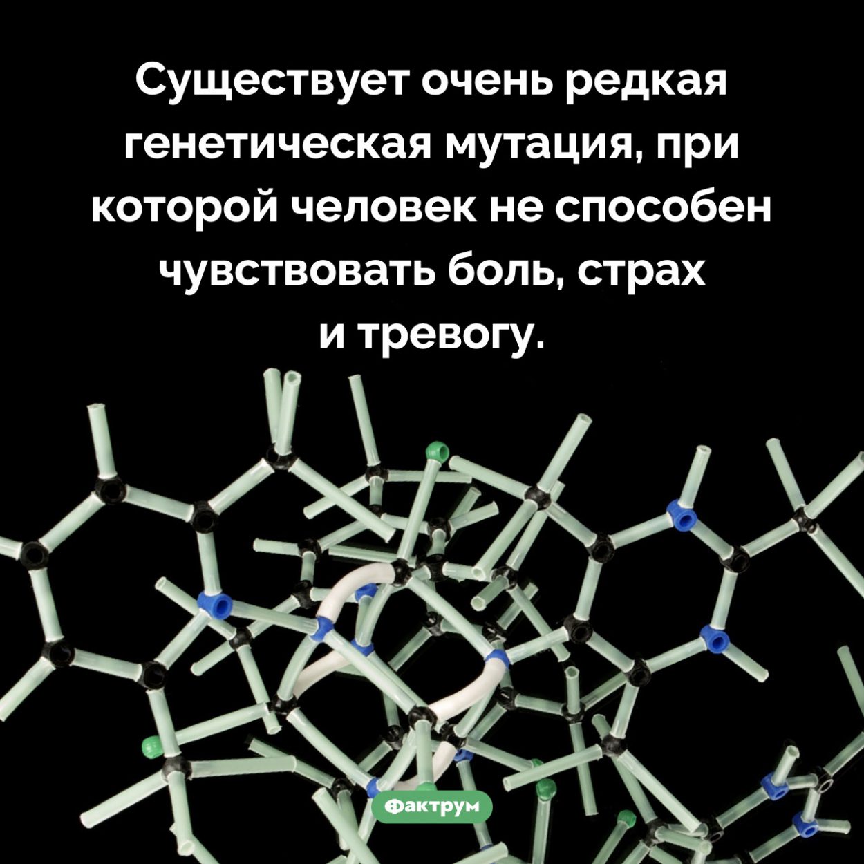 Генетическая мутация, отключающая боль. Существует очень редкая генетическая мутация, при которой человек не способен чувствовать боль, страх и тревогу.