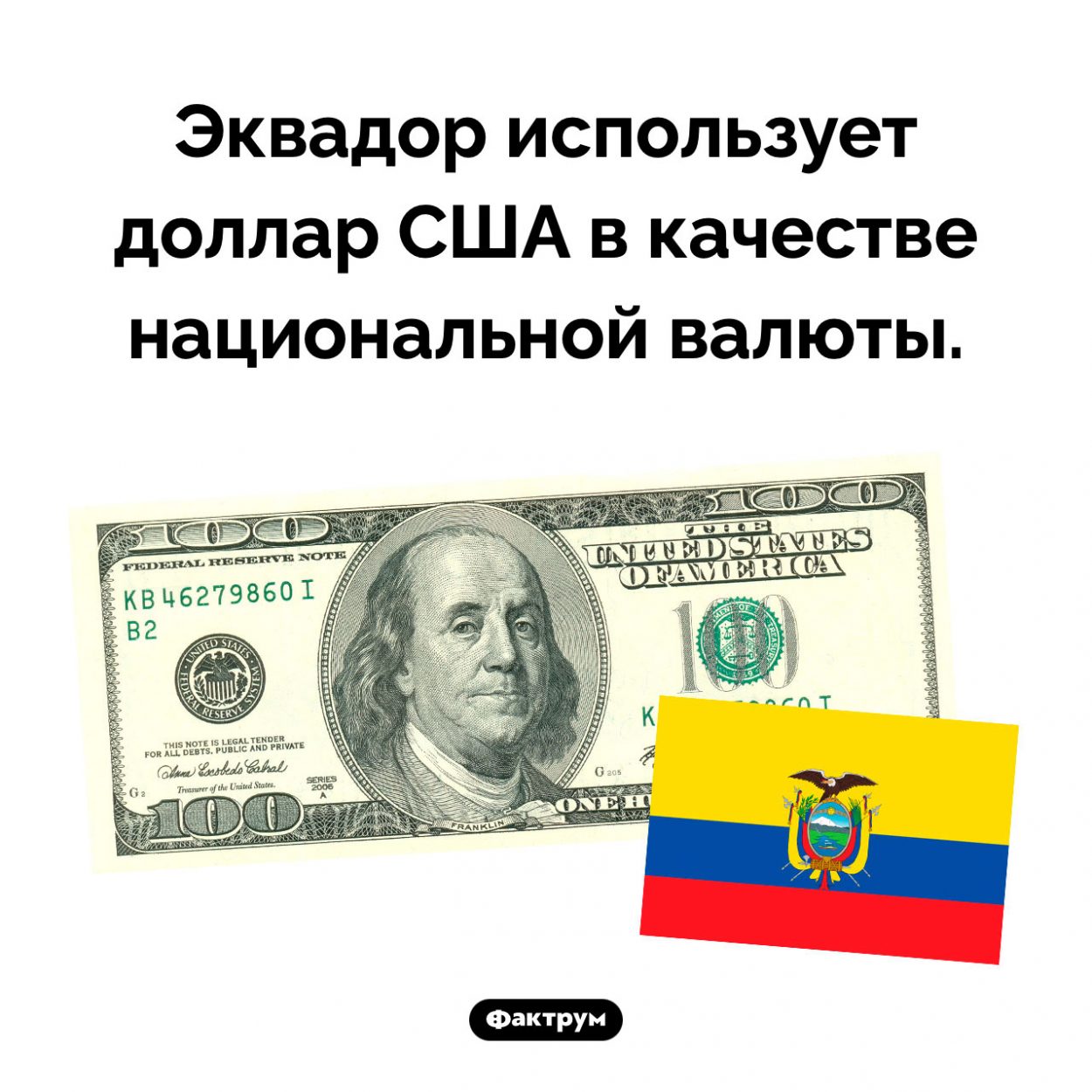 Какие деньги являются национальной валютой в Эквадоре. Эквадор использует доллар США в качестве национальной валюты.