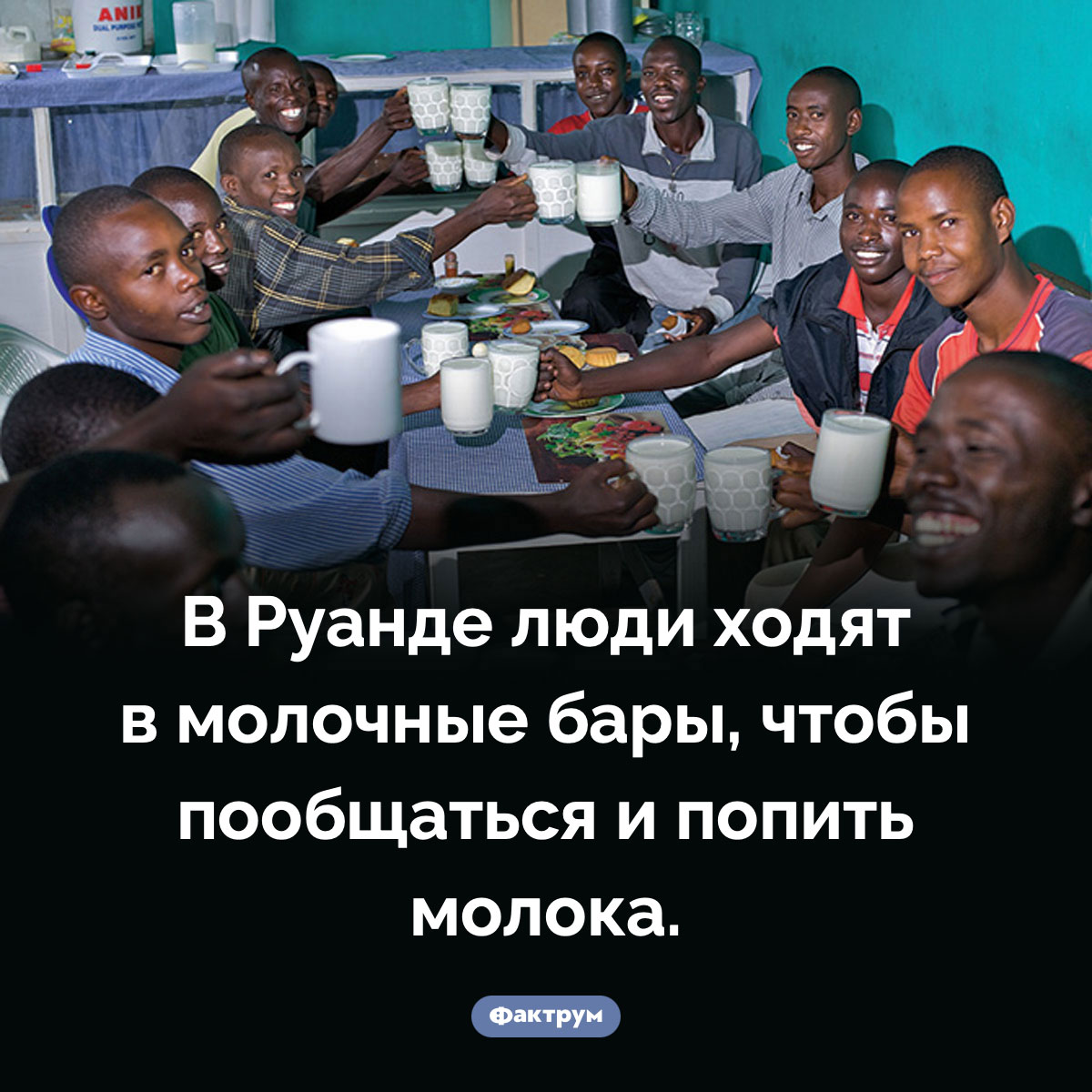 В Руанде есть молочные бары. В Руанде люди ходят в молочные бары, чтобы пообщаться и попить молока.