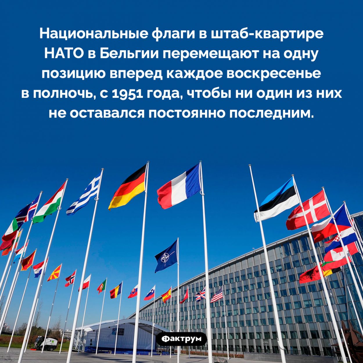 Порядок расположения флагов НАТО в штаб-квартире в Бельгии. Национальные флаги в штаб-квартире НАТО в Бельгии перемещают на одну позицию вперед каждое воскресенье в полночь, с 1951 года, чтобы ни один из них не оставался постоянно последним.