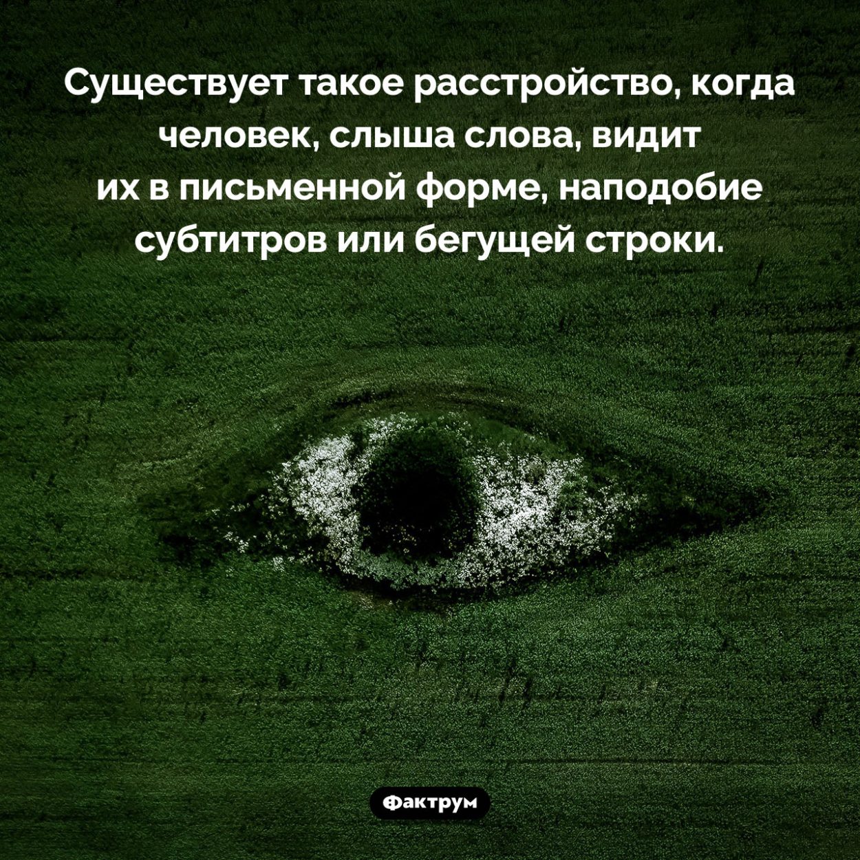 Видеть слова. Существует такое расстройство, когда человек, слыша слова, видит их в письменной форме, наподобие субтитров или бегущей строки.