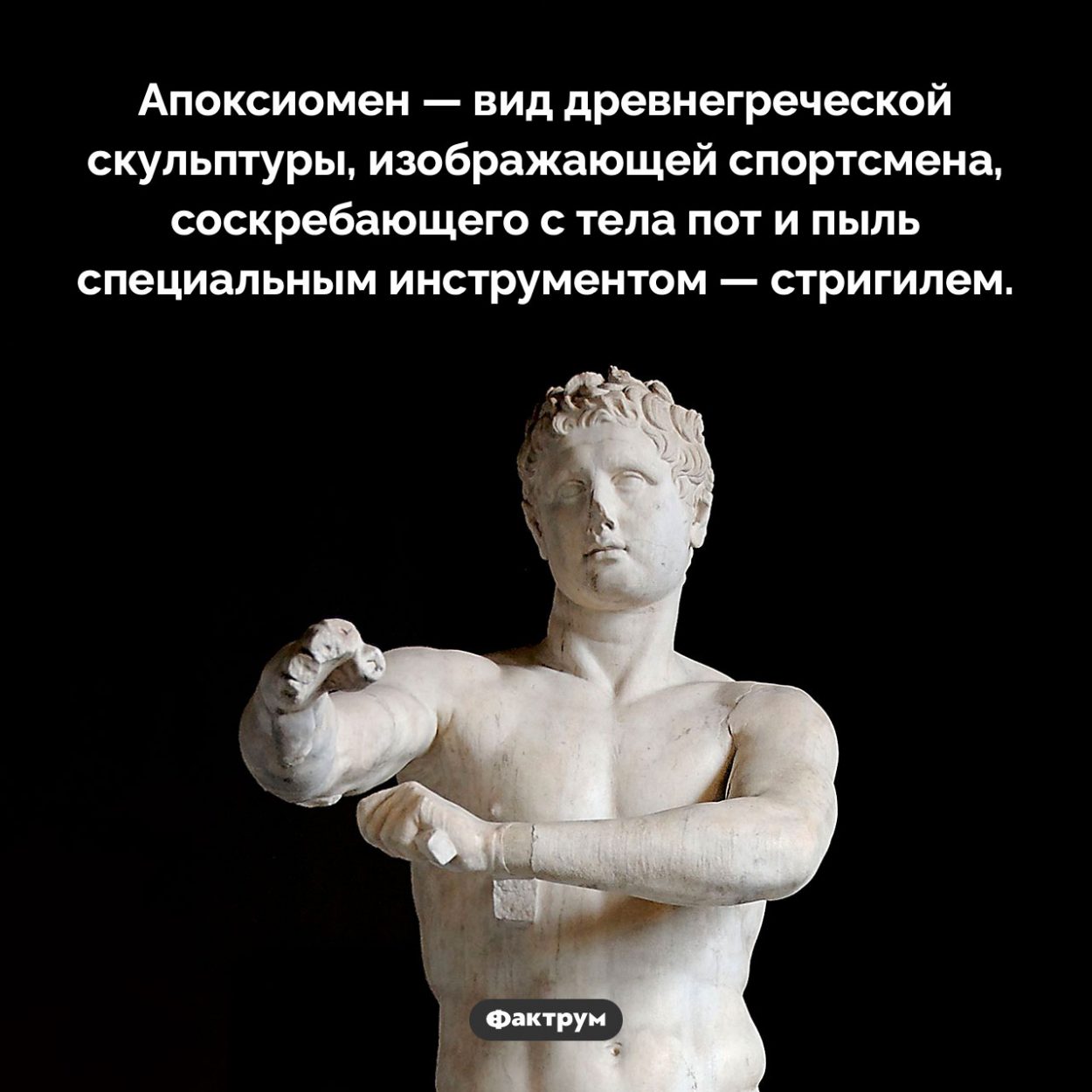 Что такое «апоксиомен». Апоксиомен — вид древнегреческой скульптуры, изображающей спортсмена, соскребающего с тела пот и пыль специальным инструментом — стригилем.
