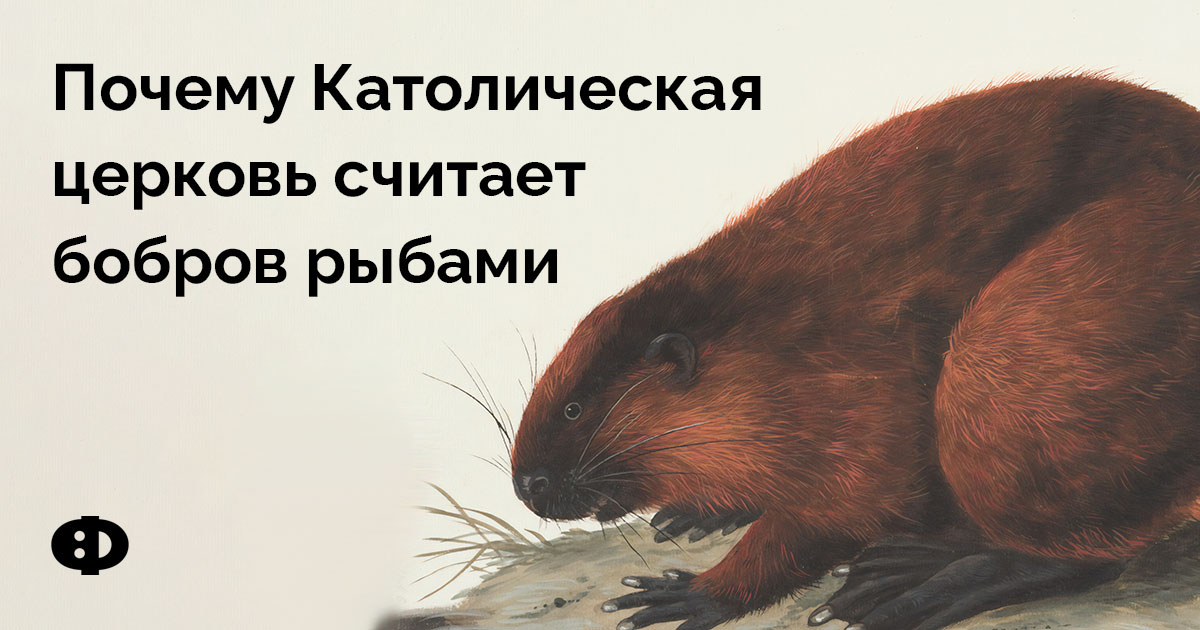 Почему Католическая церковь считает бобров рыбами
