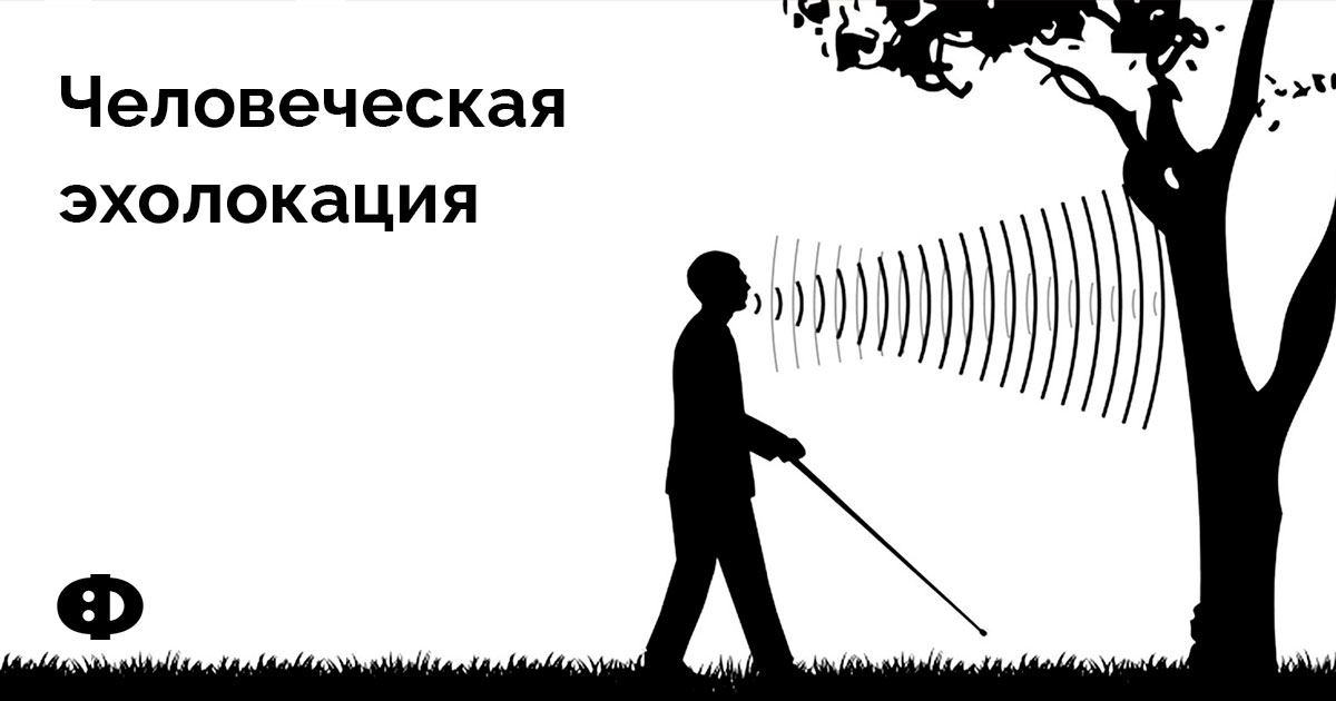 Человеческая эхолокация