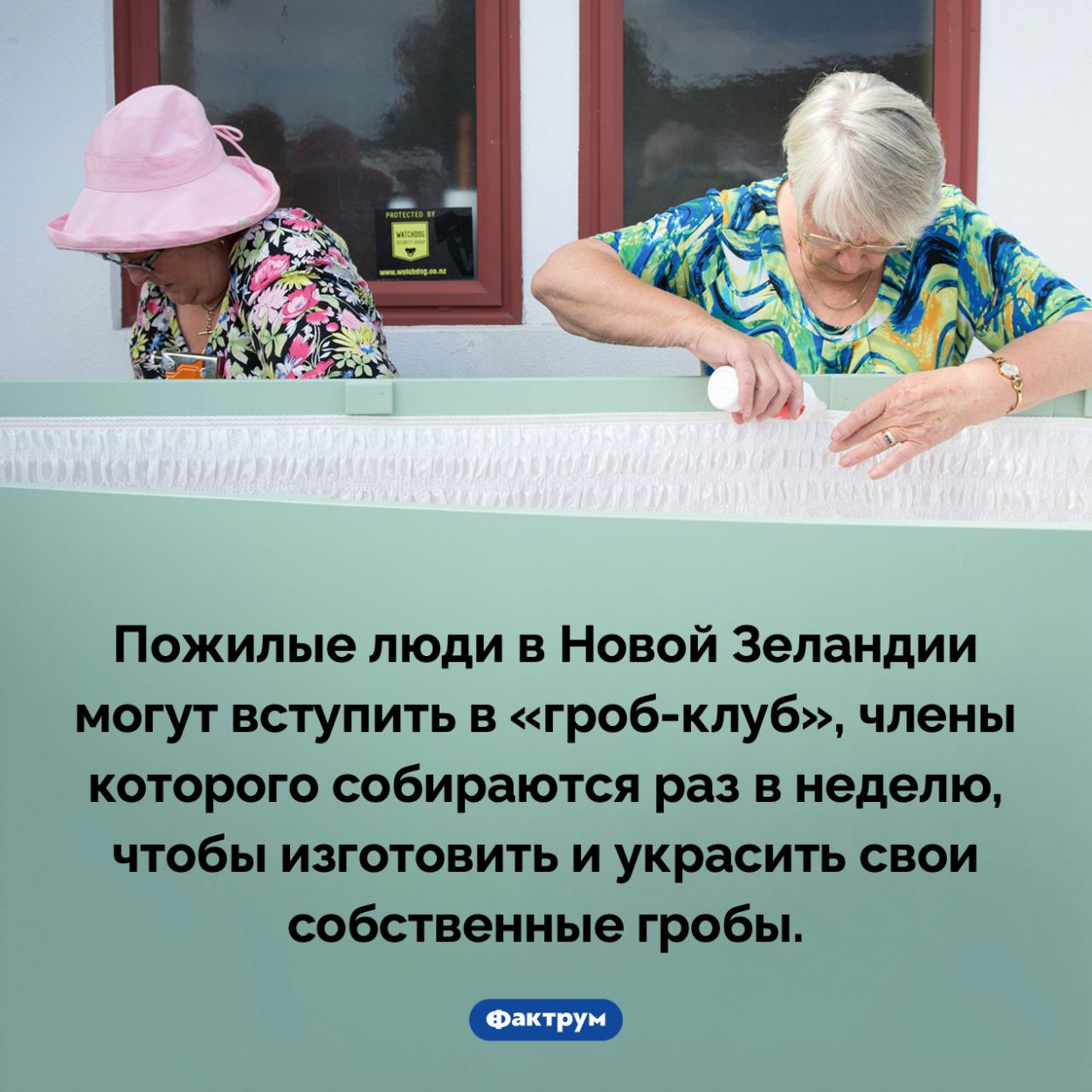 Новозеландские гроб-клубы. Пожилые люди в Новой Зеландии могут вступить в «гроб-клуб», члены которого собираются раз в неделю, чтобы изготовить и украсить свои собственные гробы.