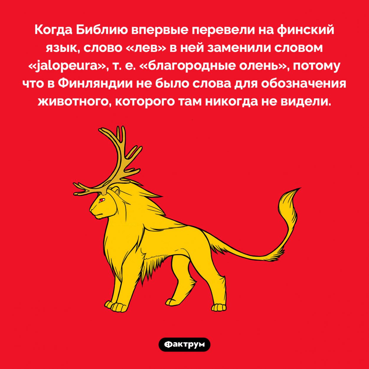 Почему лев в финской Библии превратился в благородного оленя. Когда Библию впервые перевели на финский язык, слово «лев» в ней заменили словом «jalopeura», т. е. «благородные олень», потому что в Финляндии не было слова для обозначения животного, которого там никогда не видели.