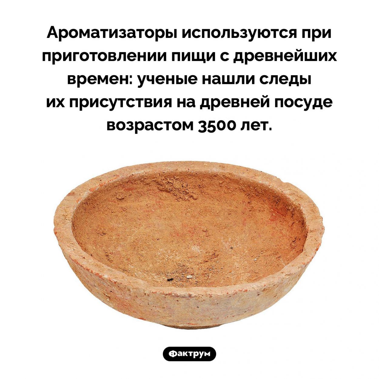 Ароматизаторы пищи известны с древнейших времен. Ароматизаторы используются при приготовлении пищи с древнейших времен: ученые нашли следы их присутствия на древней посуде возрастом 3500 лет.