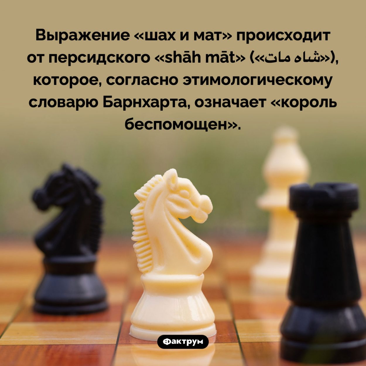 Что означает выражение «шах и мат». Выражение «шах и мат» происходит от персидского «shāh māt» («شاه مات»), которое, согласно этимологическому словарю Барнхарта, означает «король беспомощен».