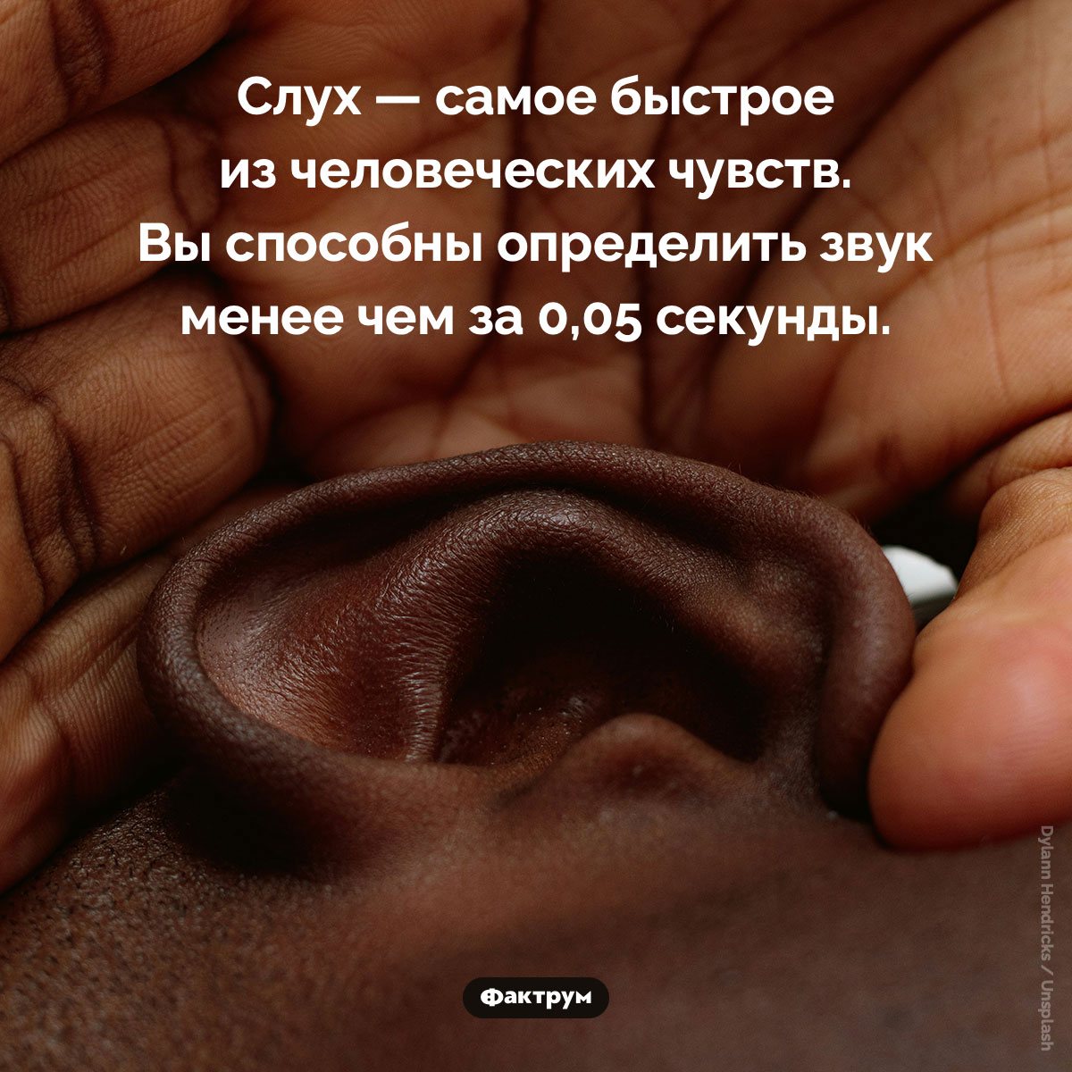 Слух — самое быстрое из человеческих чувств