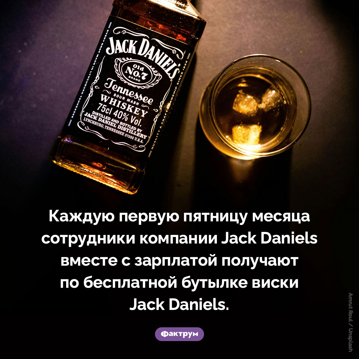 Бесплатная бутылка виски Jack Daniels