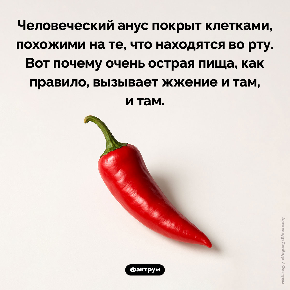 Человеческий анус покрыт клетками, похожими на те, что во рту