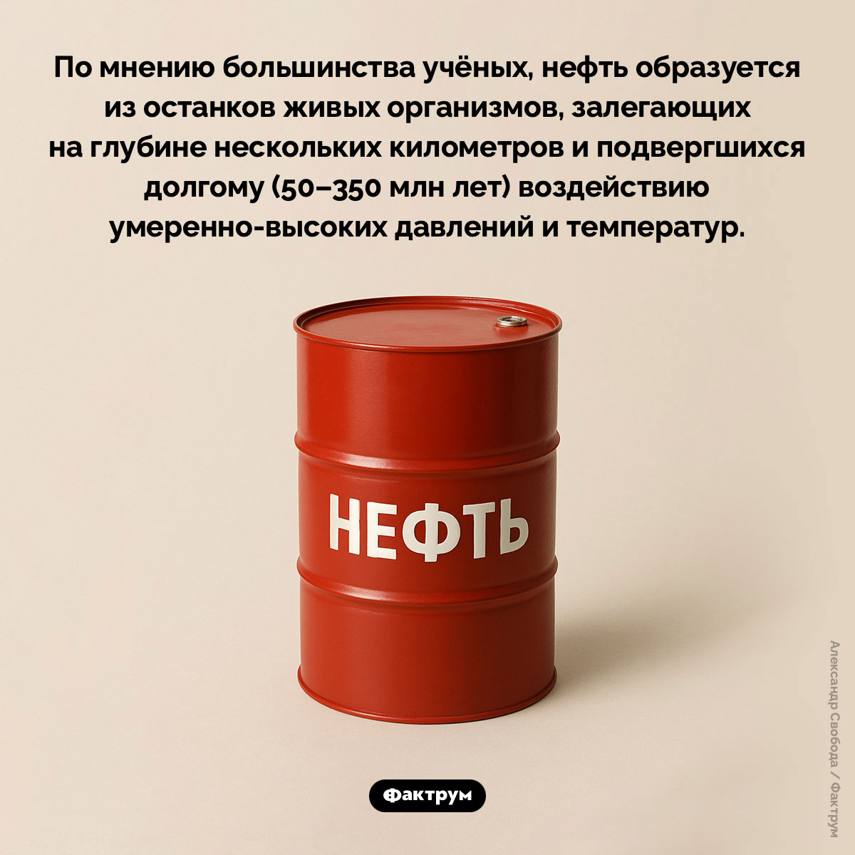 Что такое нефть. По мнению большинства учёных, нефть образуется из останков живых организмов, залегающих на глубине нескольких километров и подвергшихся долгому (50–350 млн лет) воздействию умеренно-высоких давлений и температур.