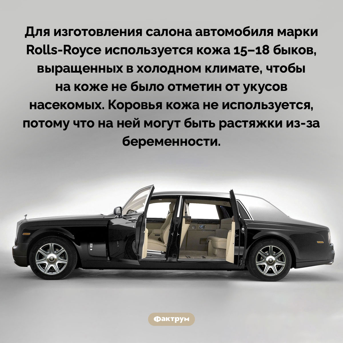Для изготовления салона Rolls-Royce используется кожа 15-18 быков