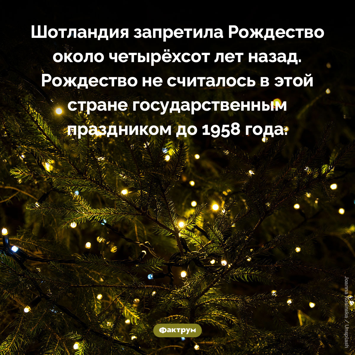 До 1958 года в Шотландии не праздновали Рождество. Шотландия запретила Рождество около четырёхсот лет назад. Рождество не считалось в этой стране государственным праздником до 1958 года.
