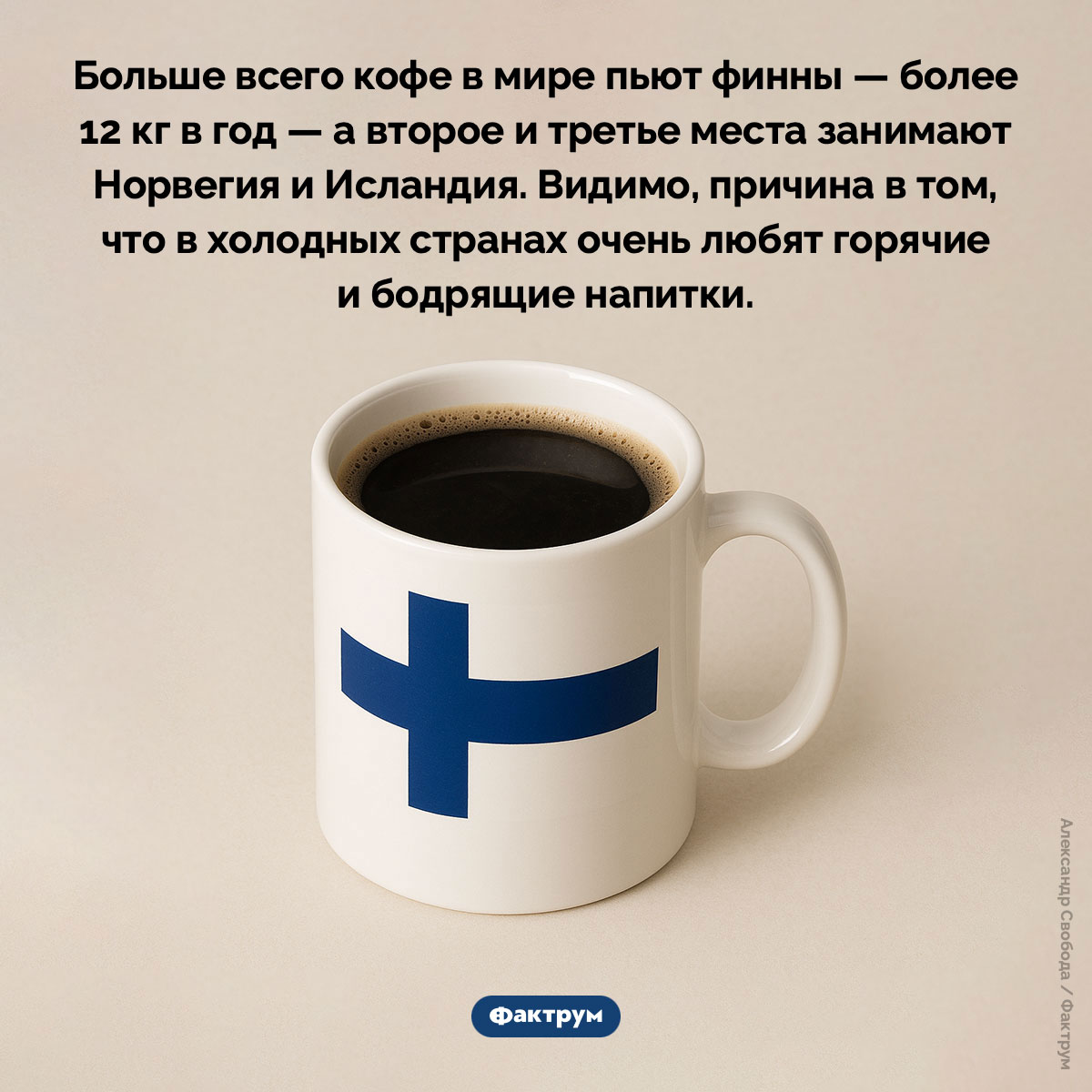 Финляндия — лидер по употреблению кофе. Больше всего кофе в мире пьют финны — более 12 кг в год — а второе и третье места занимают Норвегия и Исландия. Видимо, причина в том, что в холодных странах очень любят горячие и бодрящие напитки.