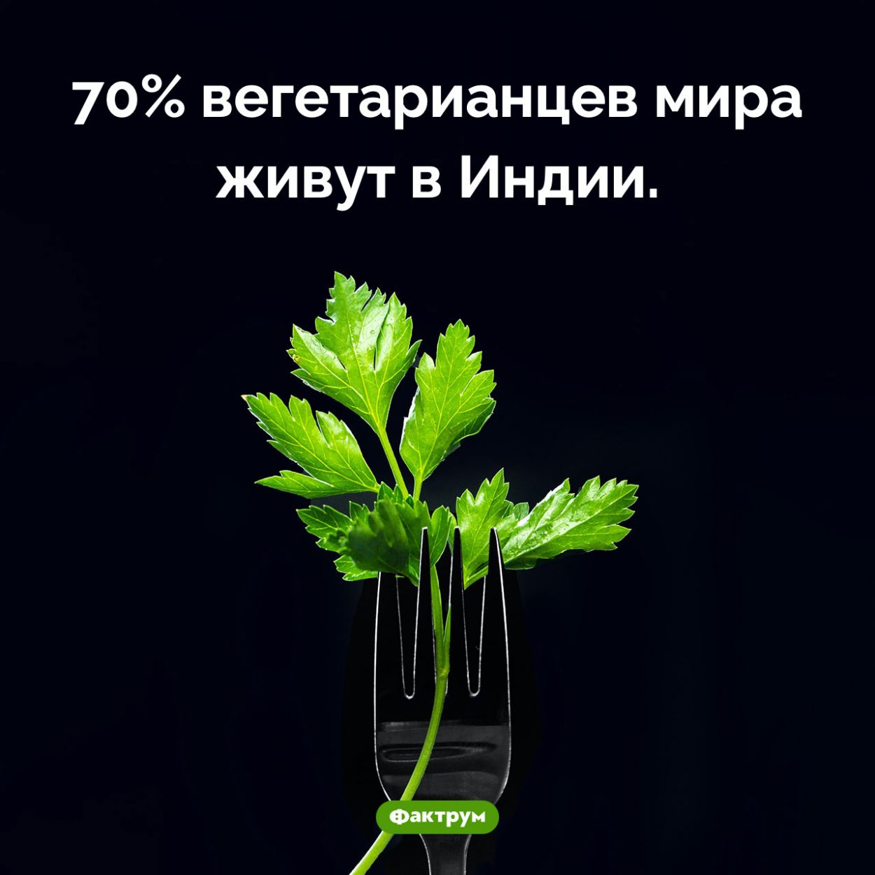 Где больше всего вегетарианцев. 70% вегетарианцев мира живут в Индии.