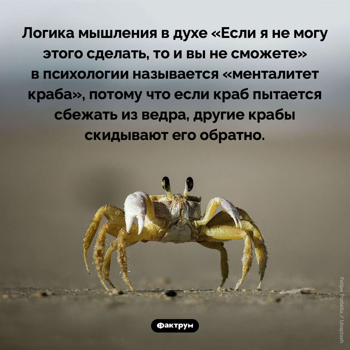 «Менталитет краба»