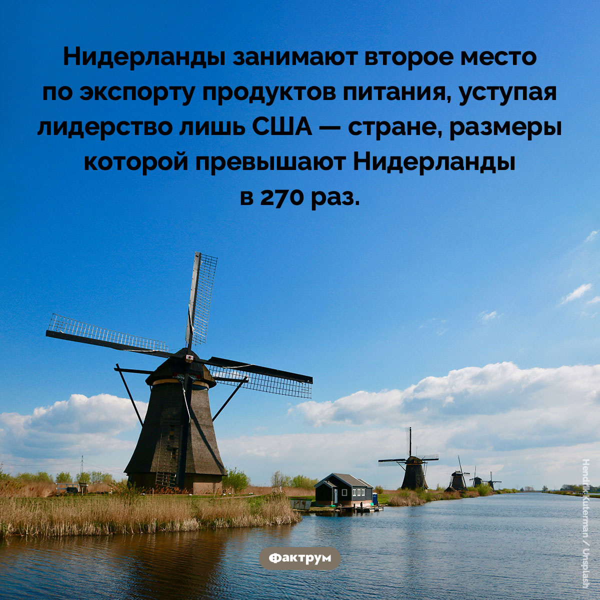 Нидерланды кормят мир