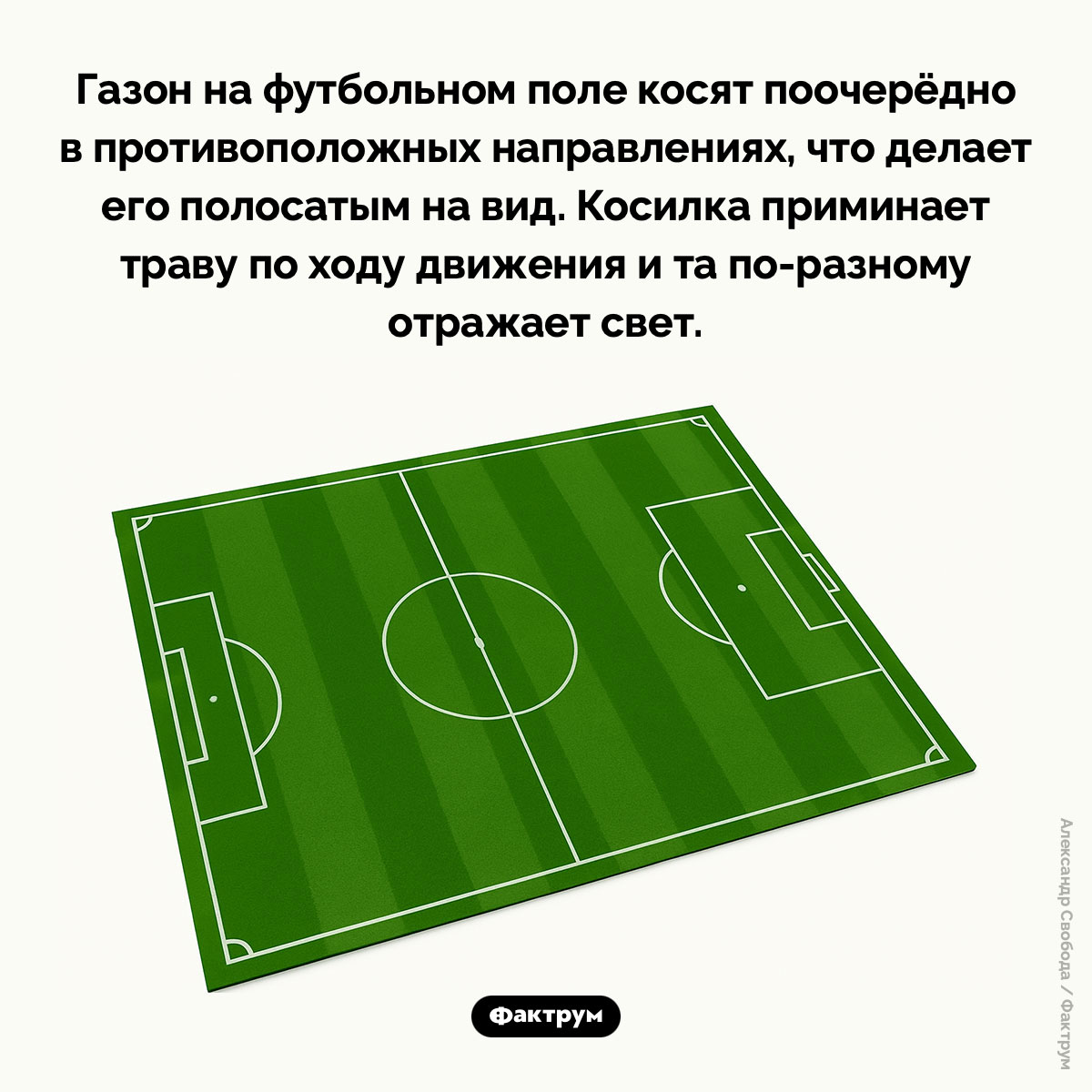Почему газон на футбольных полях полосатый. Газон на футбольном поле косят поочерёдно в противоположных направлениях, что делает его полосатым на вид. Косилка приминает траву по ходу движения и та по-разному отражает свет.