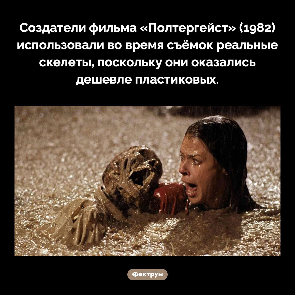 Создатели фильма «Полтергейст» (1982) использовали во время съёмок реальные скелеты. Создатели фильма «Полтергейст» (1982) использовали во время съёмок реальные скелеты, поскольку они оказались дешевле пластиковых.