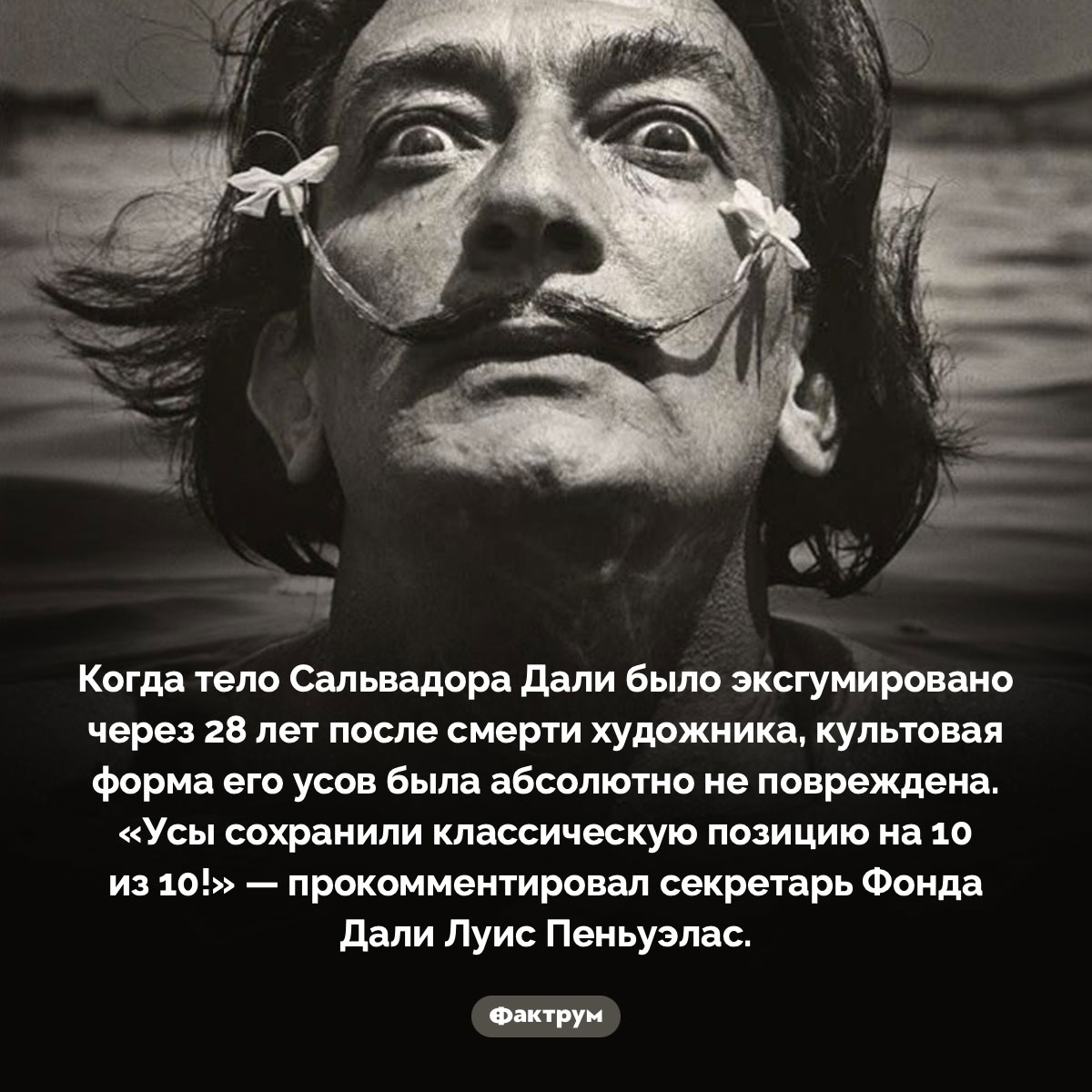 «Усы сохранили классическую позицию на 10 из 10!»