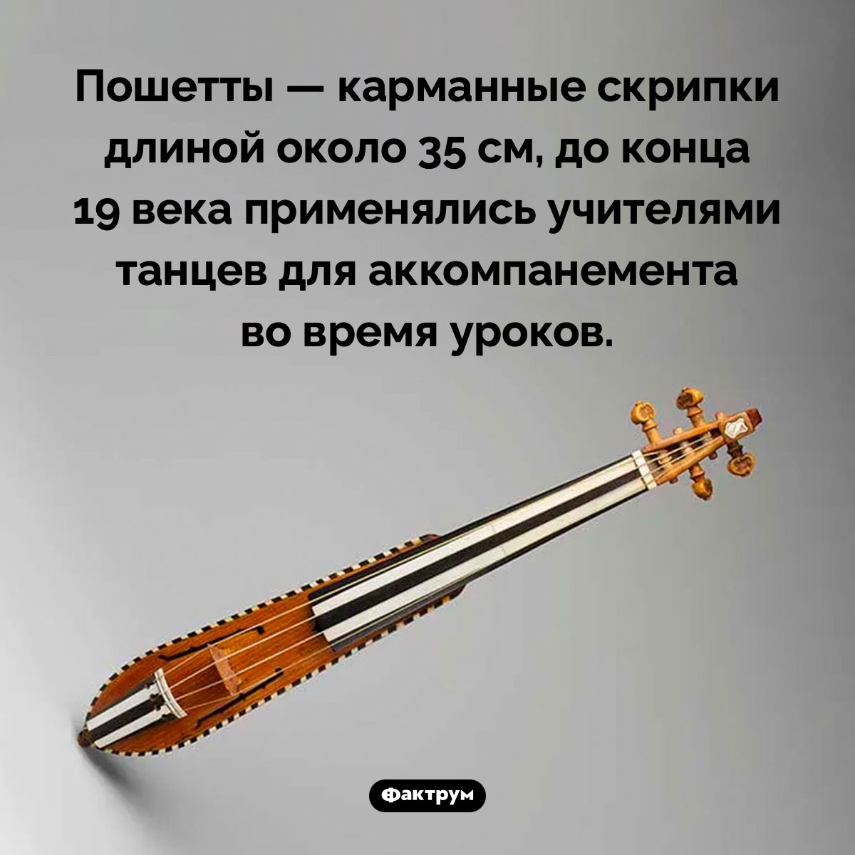 Карманная скрипка «Пошетта». Пошетты — карманные скрипки длиной около 35 см, до конца 19 века применялись учителями танцев для аккомпанемента во время уроков.