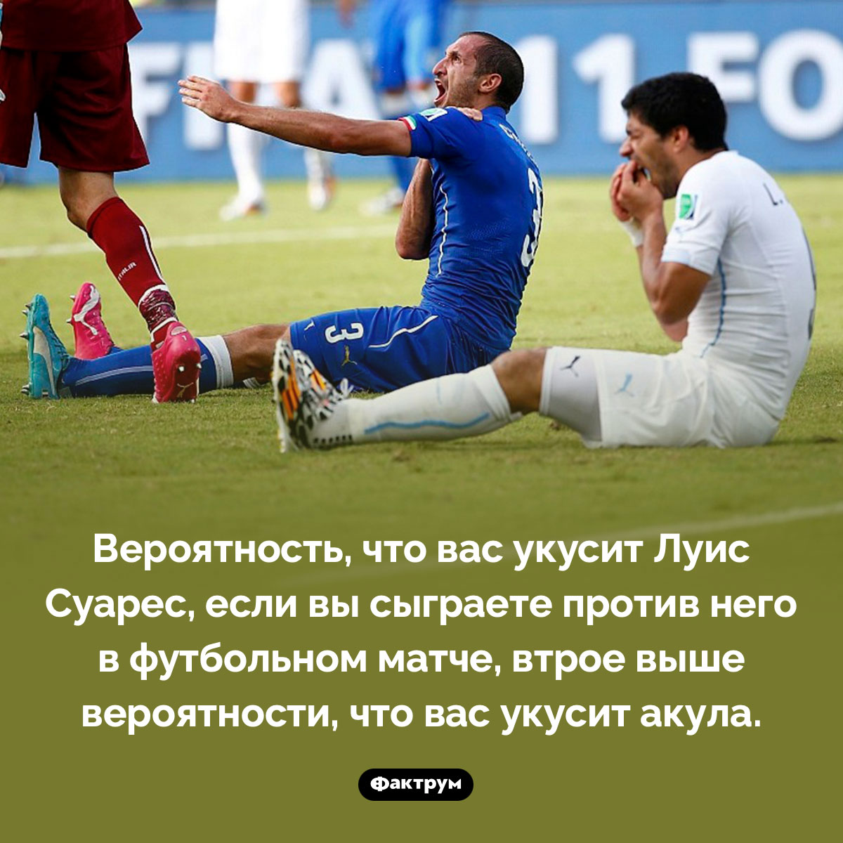 Кто с большей вероятностью вас укусит: акула или Луис Суарес. Вероятность, что вас укусит Луис Суарес, если вы сыграете против него в футбольном матче, втрое выше вероятности, что вас укусит акула.