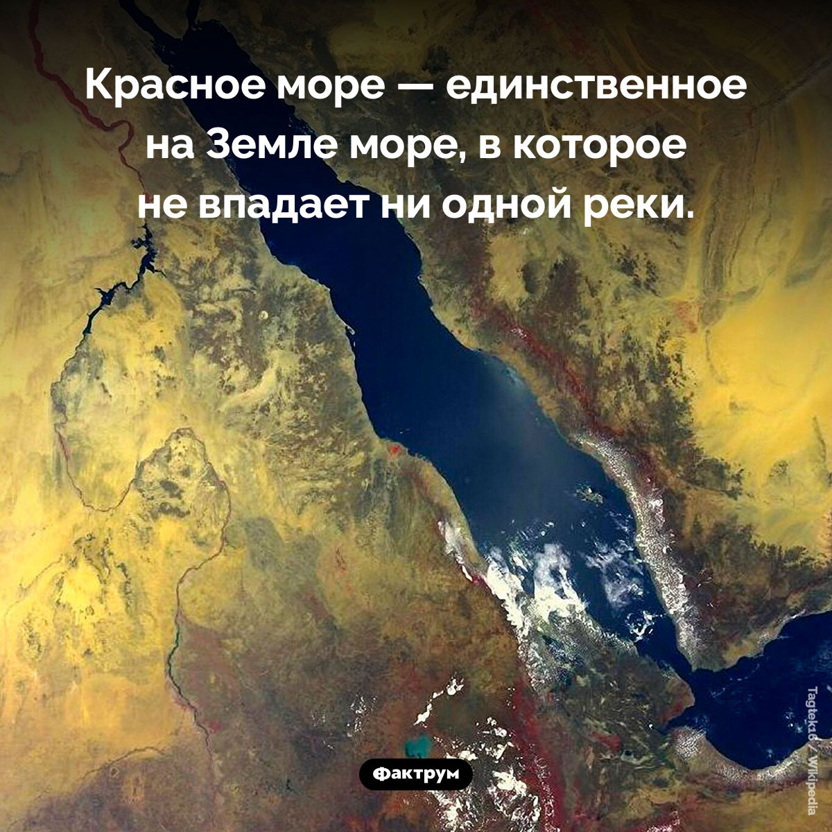 Уникальность Красного моря. Красное море — единственное на Земле море, в которое не впадает ни одной реки.