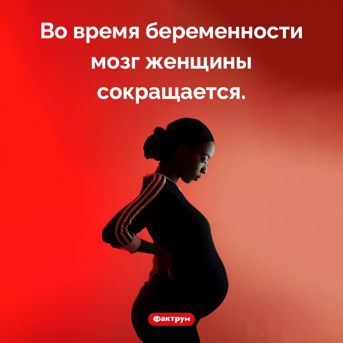 Что происходит с мозгом во время беременности. Во время беременности мозг женщины сокращается.