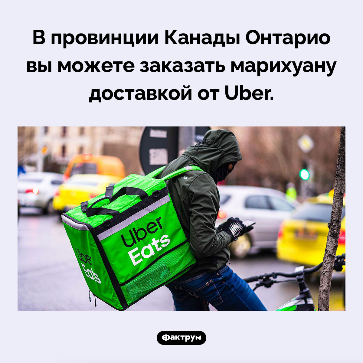 Канадский Uber. В провинции Канады Онтарио вы можете заказать марихуану доставкой от Uber.