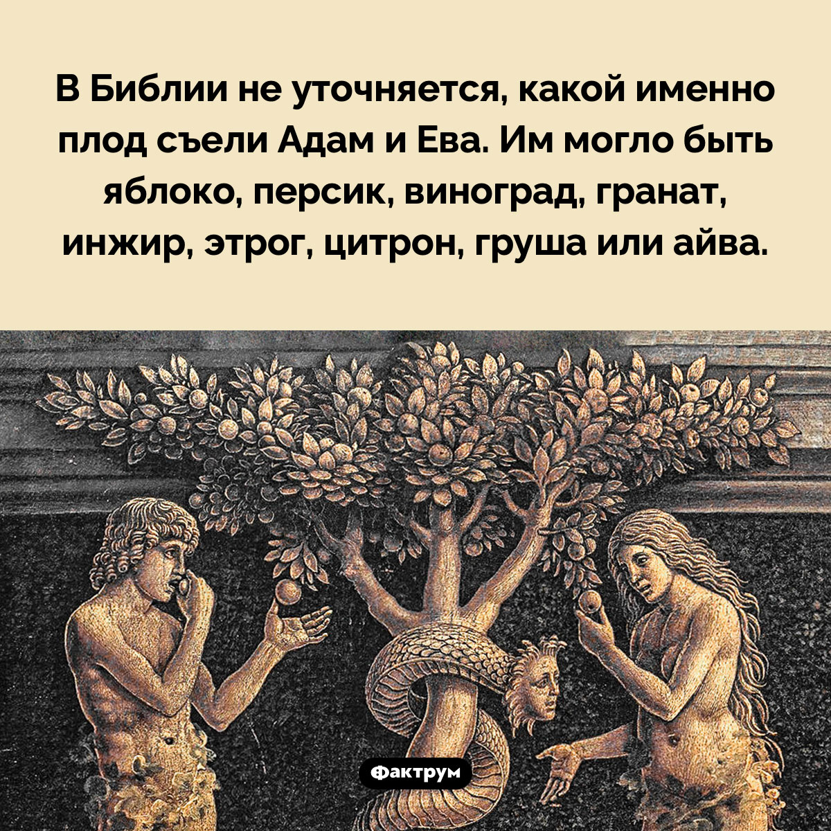 Запретный плод. В Библии не уточняется, какой именно плод съели Адам и Ева. Им могло быть яблоко, персик, виноград, гранат, инжир, этрог, цитрон, груша или айва.