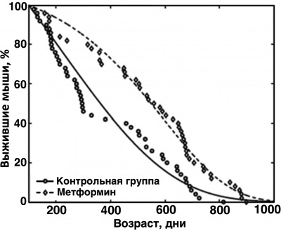 метформин продлевает жизнь