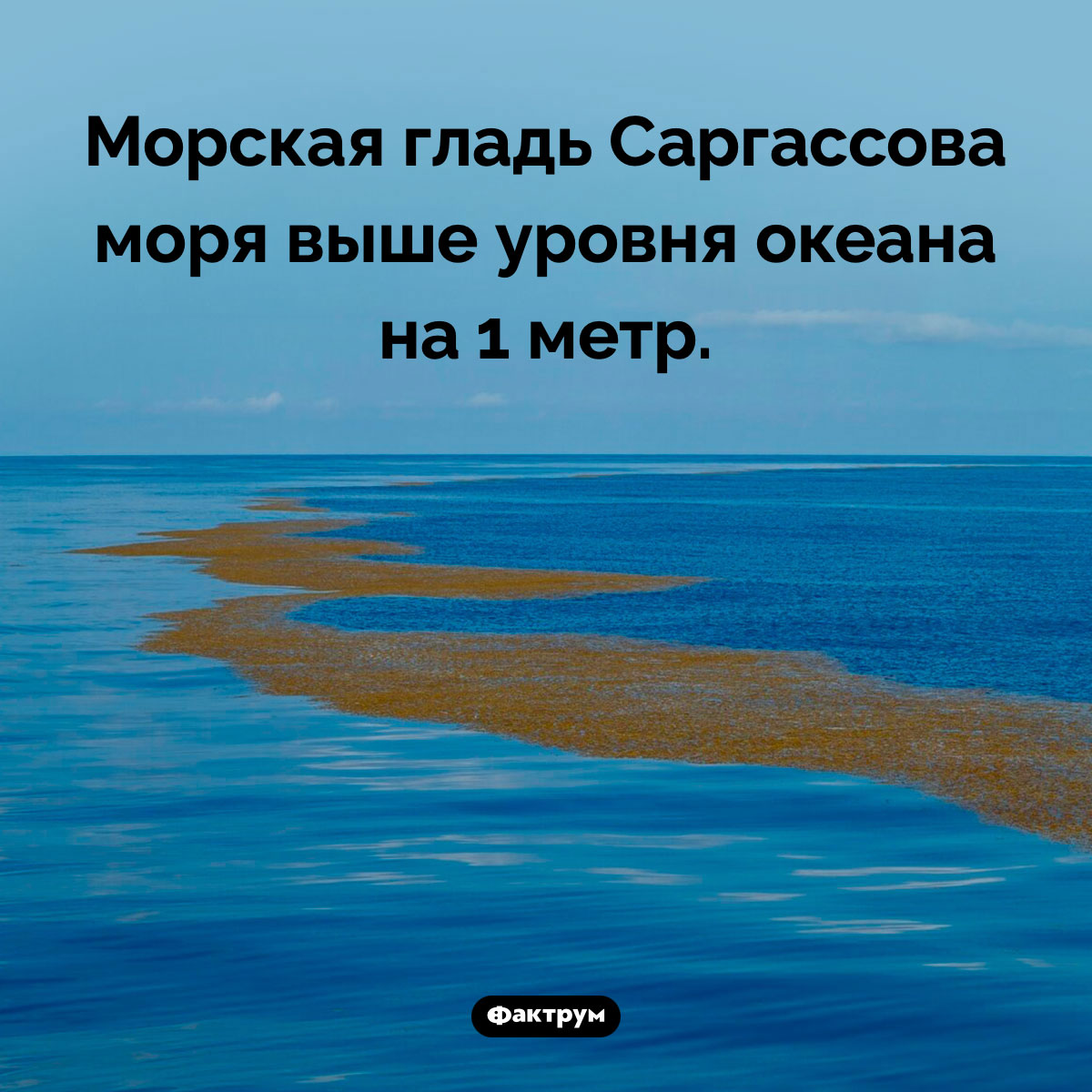 Морская гладь Саргассова моря выше уровня океана. Морская гладь Саргассова моря выше уровня океана на 1 метр.