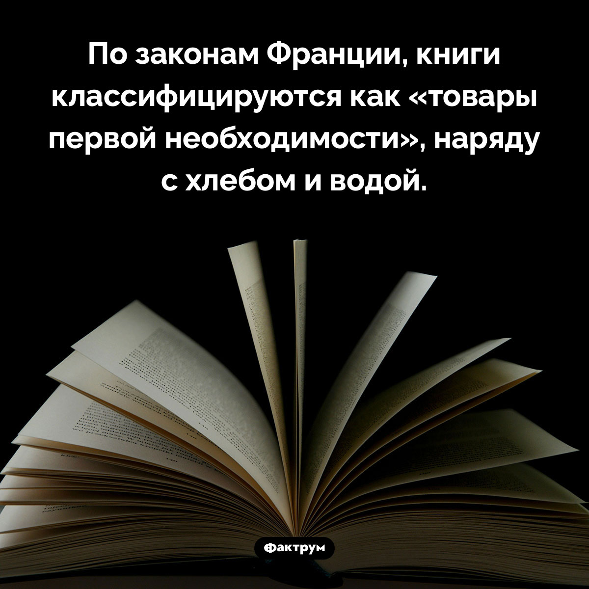 Статус книг во Франции. По законам Франции, книги классифицируются как «товары первой необходимости», наряду с хлебом и водой.