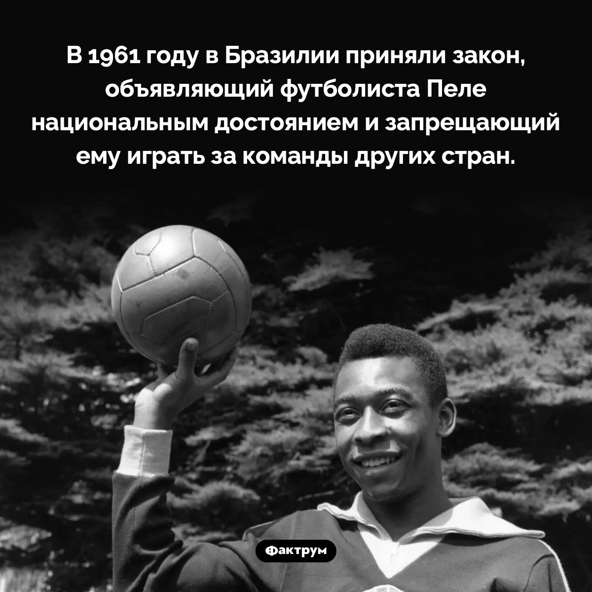 Пеле — национальное достояние Бразилии. В 1961 году в Бразилии приняли закон, объявляющий футболиста Пеле национальным достоянием и запрещающий ему играть за команды других стран.