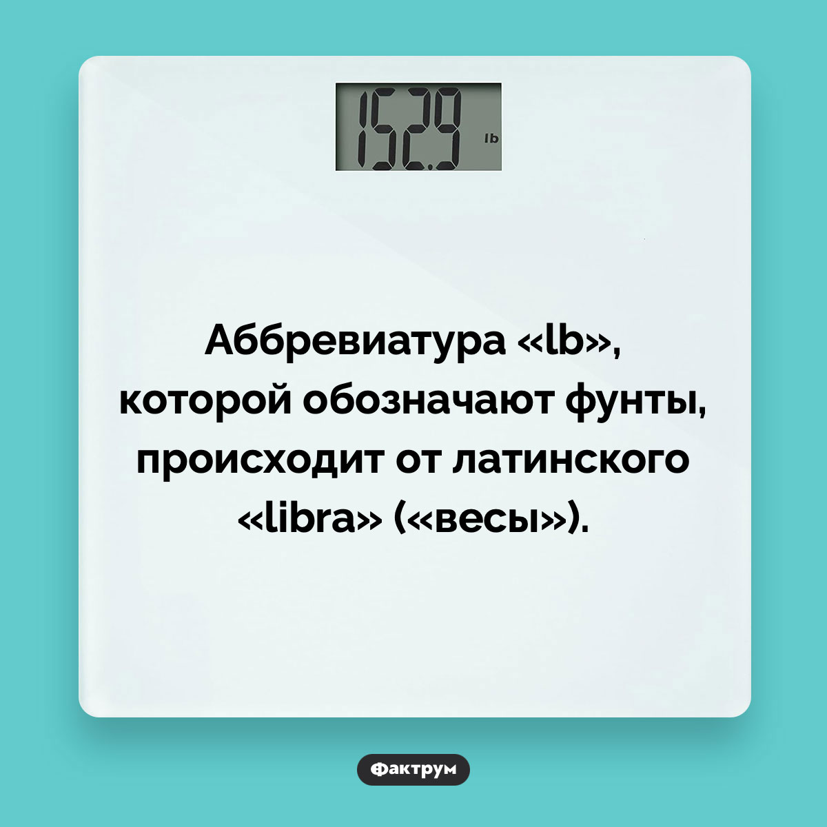 В некоторых странах фунты обозначают аббревиатурой «lb». Аббревиатура «lb», которой обозначают фунты, происходит от латинского «libra» («весы»).