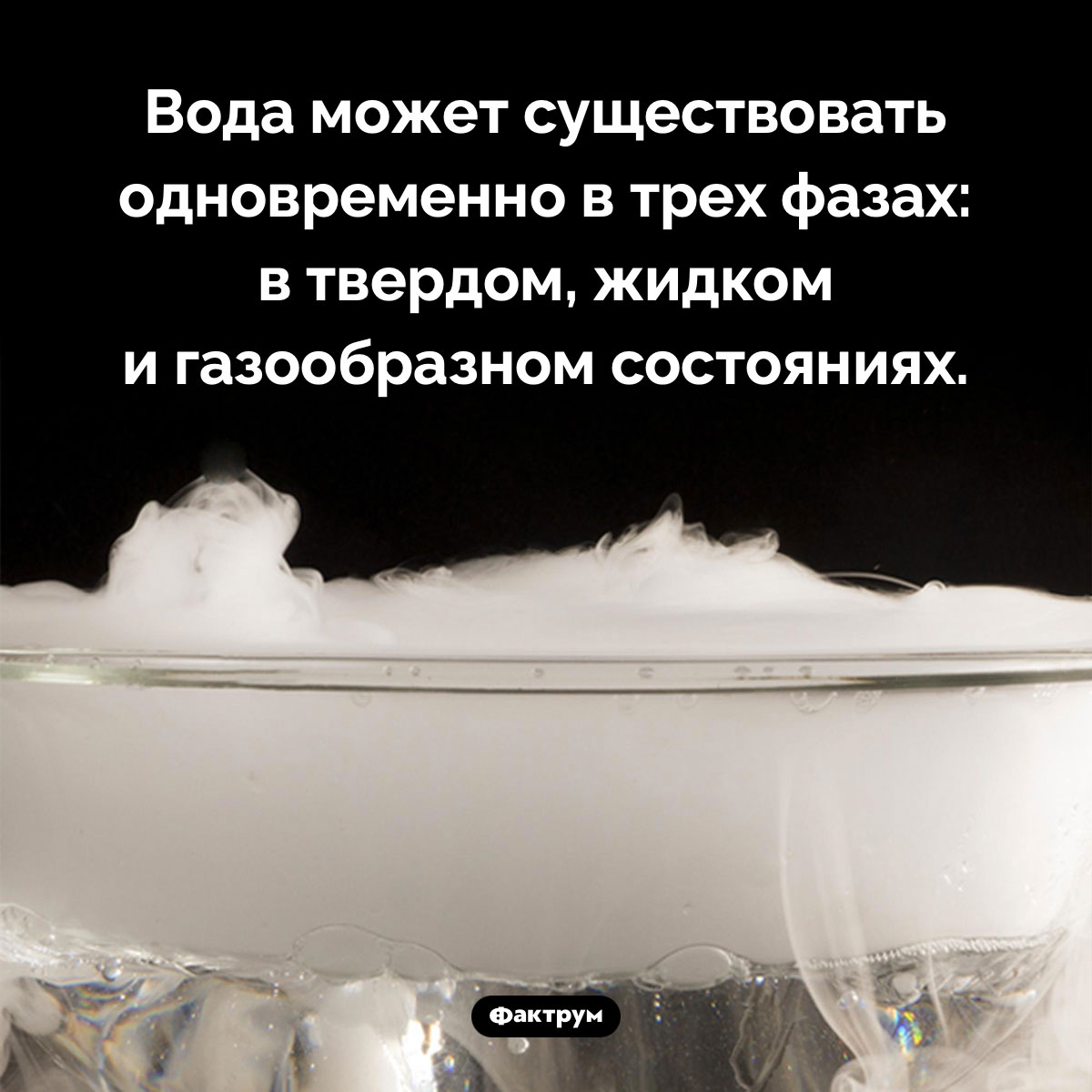 Тройная точка воды. Вода может существовать одновременно в трех фазах: в твердом, жидком и газообразном состояниях.