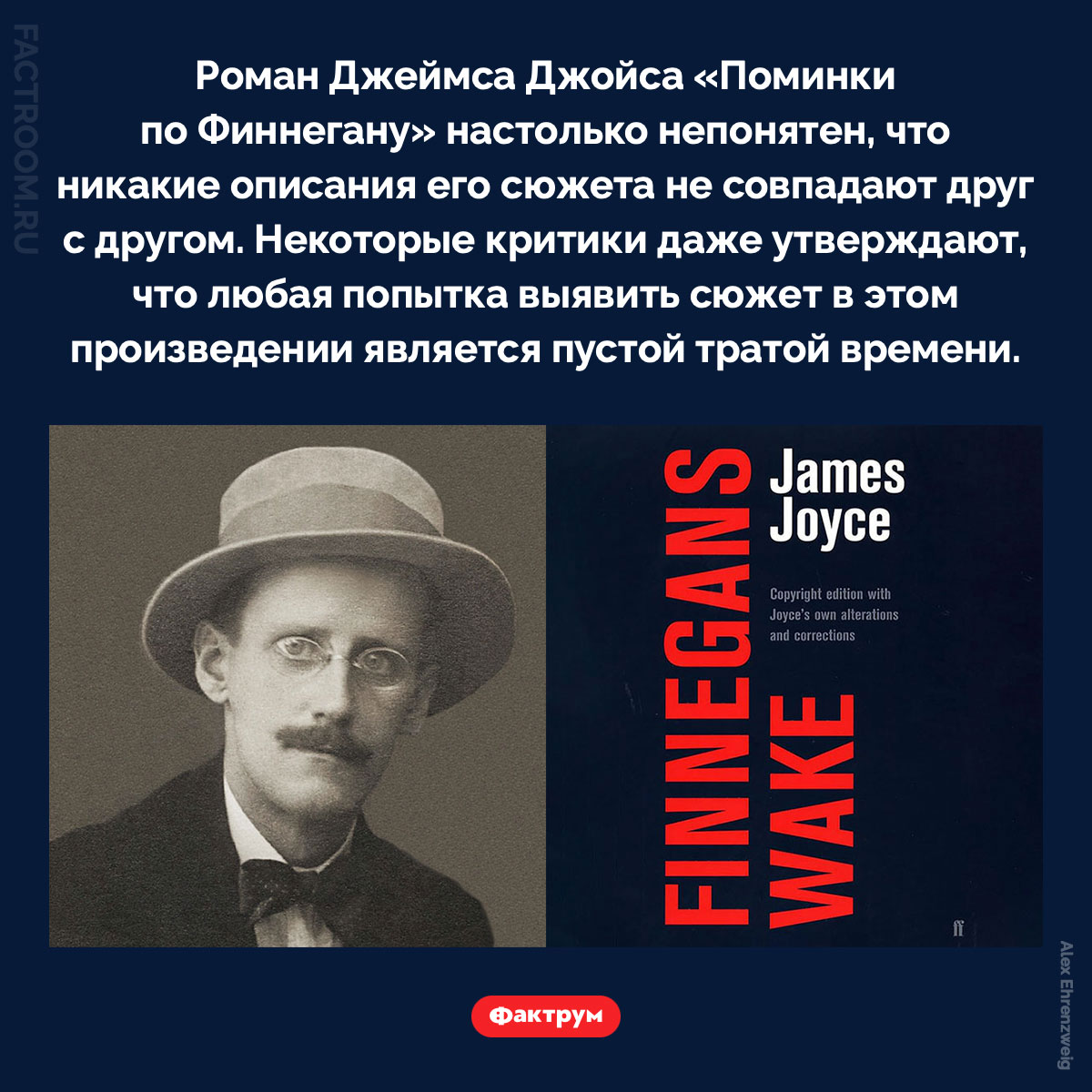 Роман Джеймса Джойса «Поминки по&nbsp;Финнегану» невозможно понять. Роман Джеймса Джойса «Поминки по Финнегану» настолько непонятен, что никакие описания его сюжета не совпадают друг с другом. Некоторые критики даже утверждают, что любая попытка выявить сюжет в этом произведении является пустой тратой времени.