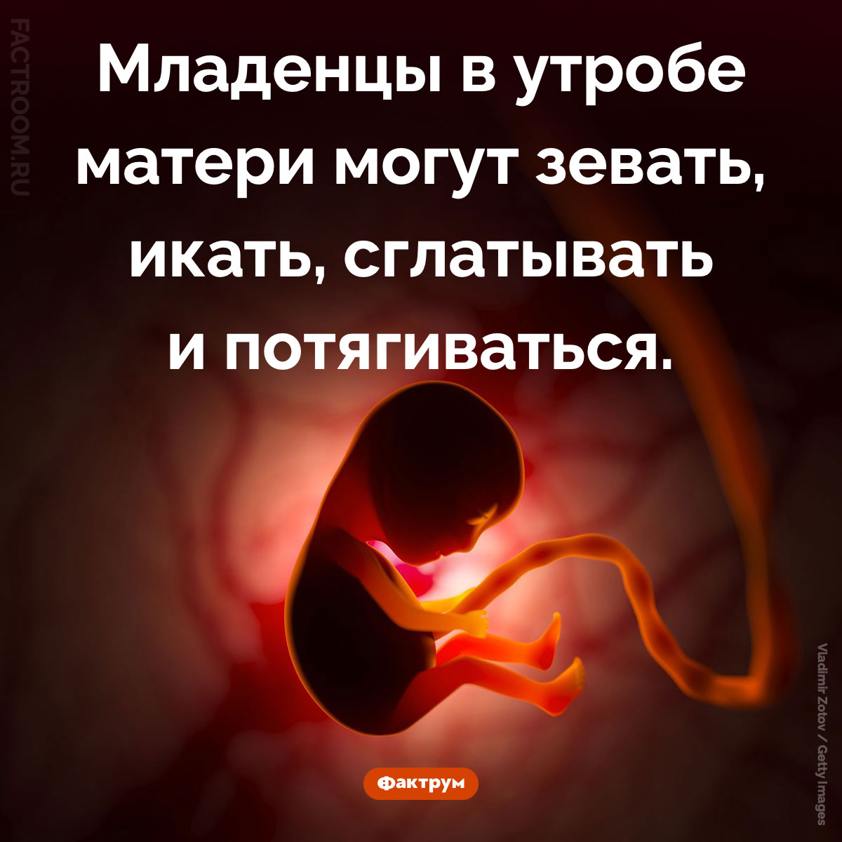 Удивительные способности еще не родившихся детей. Младенцы в утробе матери могут зевать, икать, сглатывать и потягиваться.