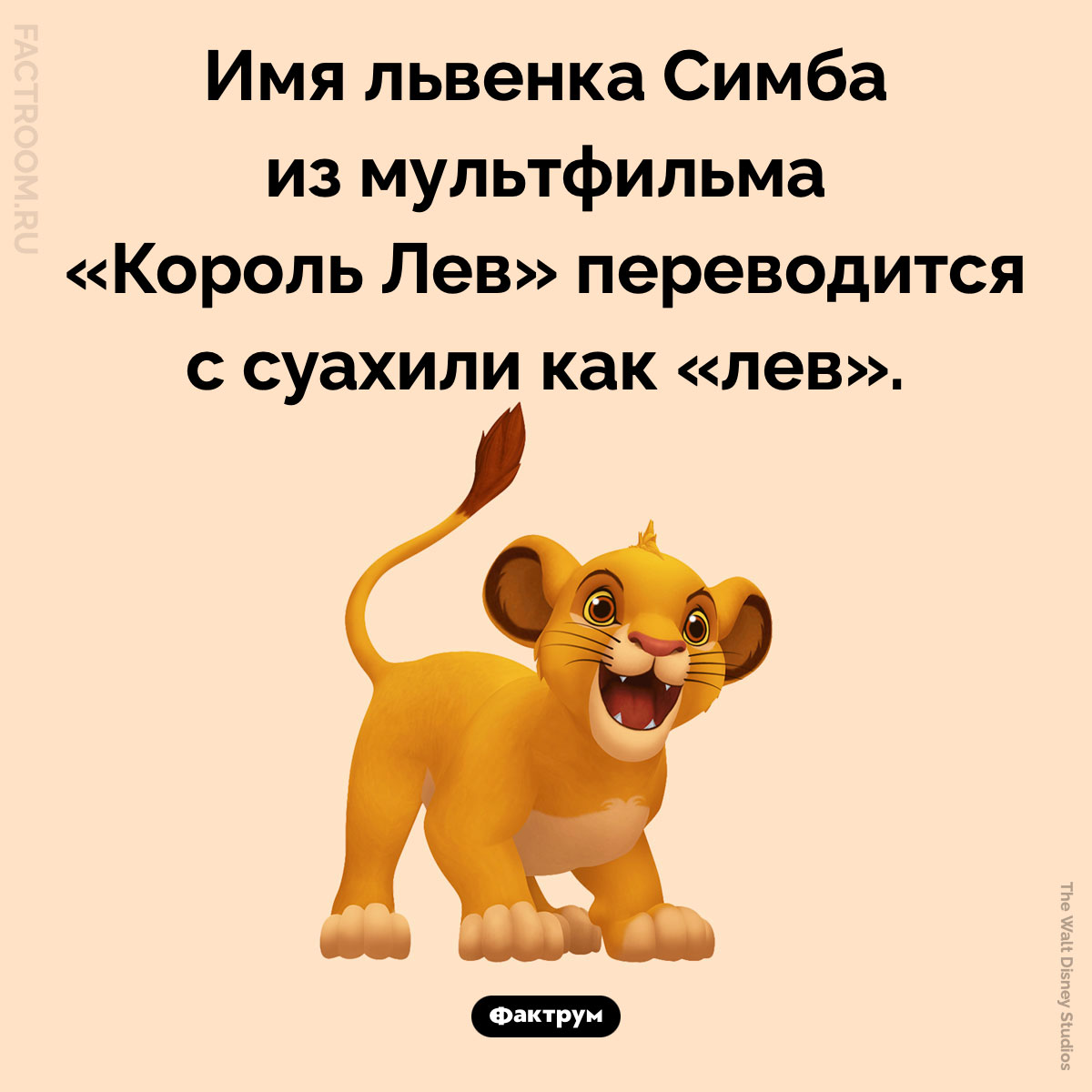 Что значит «Симба». Имя львенка Симба из мультфильма «Король Лев» переводится с суахили как «лев».