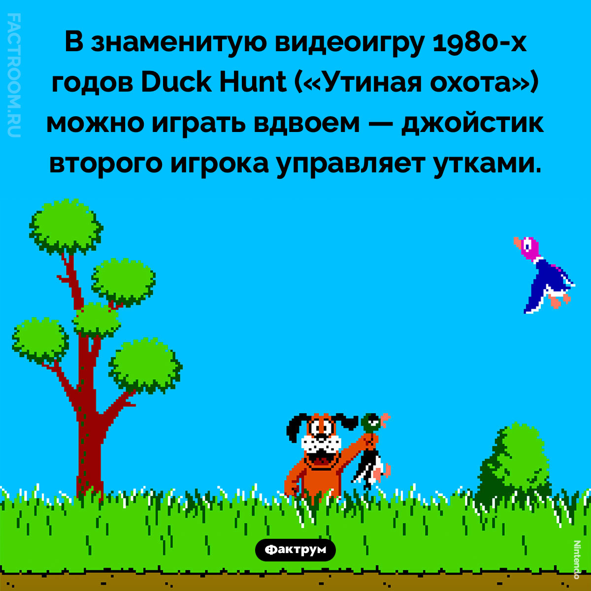 Игра Duck Hunt на двоих. Второй контроллер управляет движением уток.В знаменитую видеоигру 1980-х годов Duck Hunt («Утиная охота») можно играть вдвоем — джойстик второго игрока управляет утками.