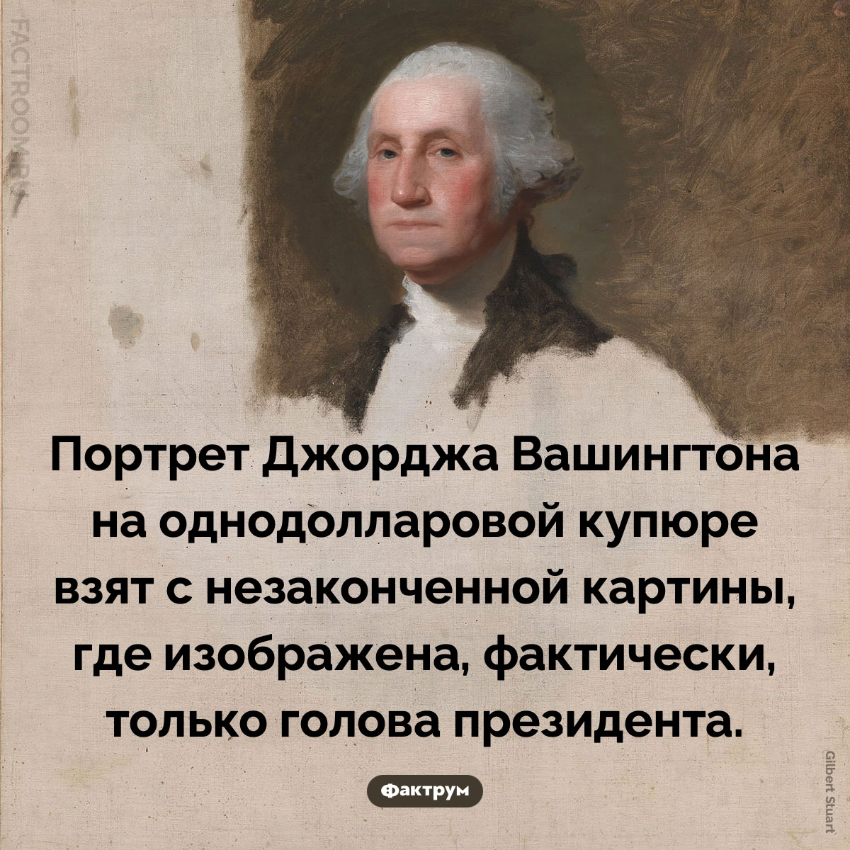 Откуда взят портрет Вашингтона на&nbsp;долларовой купюре. Портрет Джорджа Вашингтона на однодолларовой купюре взят с незаконченной картины, где изображена, фактически, только голова президента.