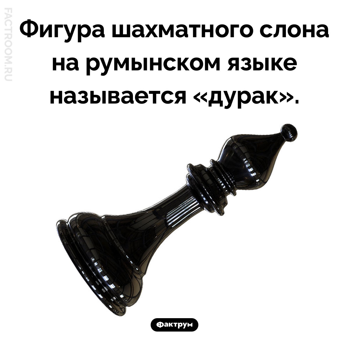 Слон-дурак. Фигура шахматного слона на румынском языке называется «дурак».