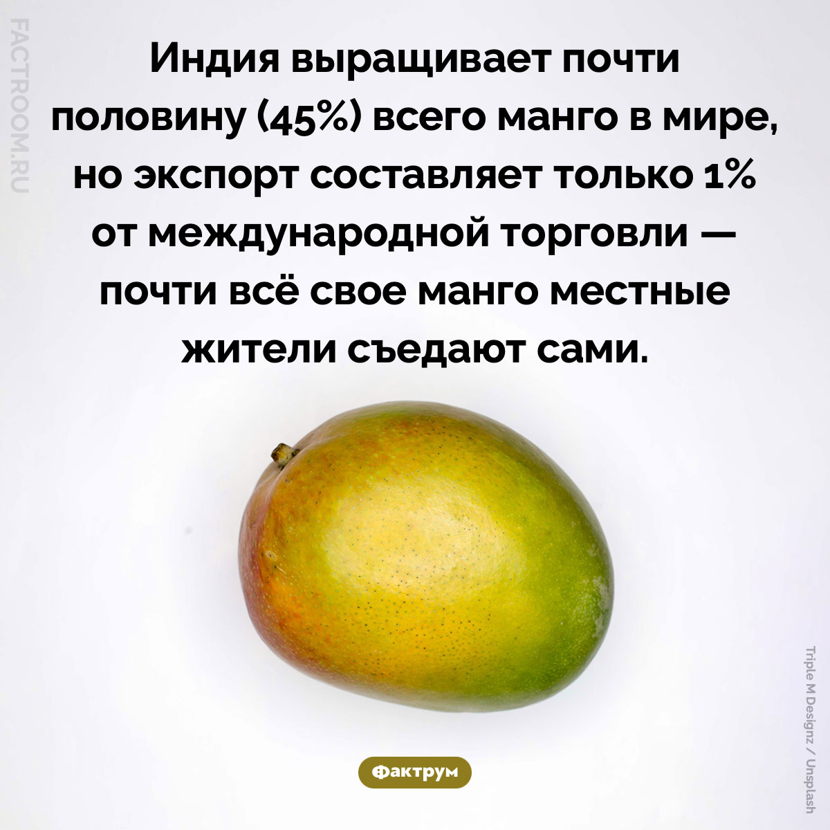 Индия не&nbsp;делится манго. Индия выращивает почти половину (45%) всего манго в мире, но экспорт составляет только 1% от международной торговли — почти всё свое манго местные жители съедают сами.